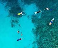 Awesome Spots to Snorkel in Lahaina, Hawai’i