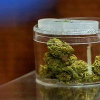 Simplify Your Cannabis Purchase by Shopping Online