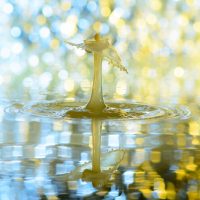 Plinko Deep Dive: Mathematische Meisterung Und Nv Online Casino Integration Das Handbuch