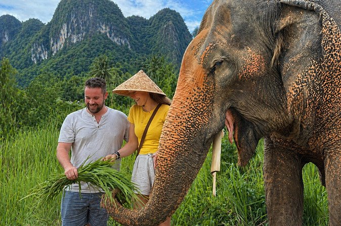 What Makes Samui Elephant Haven a Meaningful Wildlife Destination?